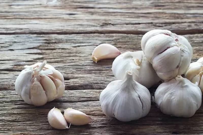 قیمت موسیر کوهی